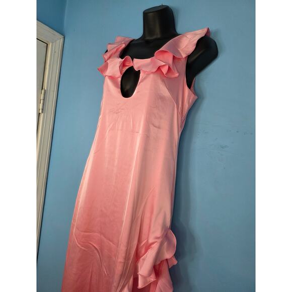 Peekskill Large Pink A-Symmetrical Dress NWT - Picture 5 of 6